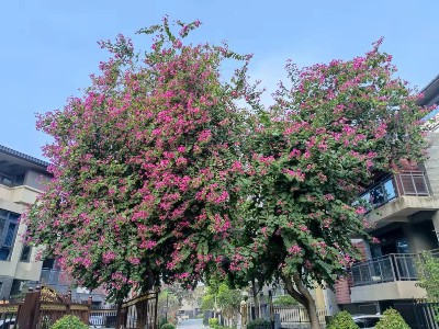 2022年1月份公司溫泉之旅 title=