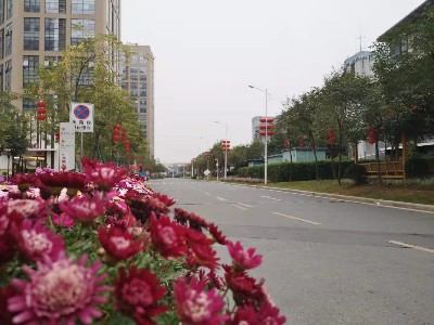 廣州眾科儀器有限公司